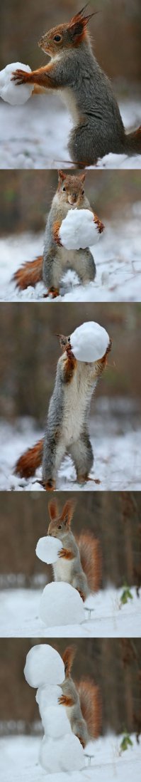 Без обид, это с целью юмора =)))