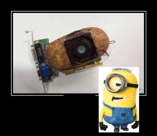 Свежие демотиваторы для ценителей юмора и приколов!