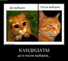 Свежие демотиваторы для ценителей юмора и приколов!