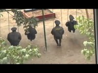 Теперь мы знаем, что им выдали автомобиль)))