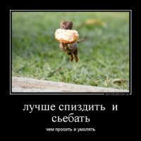 Змея выхватила улов из рук мужика