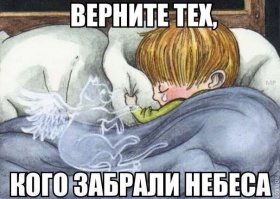  Реакция птицы на прощание с другом разобьет ваше сердце 