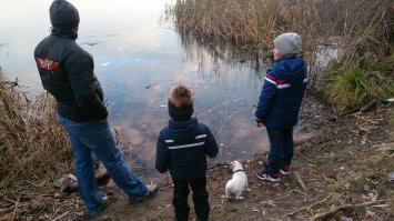 Собака это круто! Наш верный друг всегда с нами, хоть ещё и маловат))