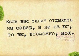 10 советов начинающим сноубордистам