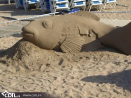 а вот и первый улов :)
