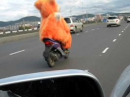 Да что ты можешь думать по одной размытой фотографии? включи мозг вариантов куча, вот тебе для аналитики пару фоток, аккуратнее чтоб мозг не взорвался