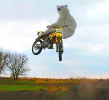 Да что ты можешь думать по одной размытой фотографии? включи мозг вариантов куча, вот тебе для аналитики пару фоток, аккуратнее чтоб мозг не взорвался