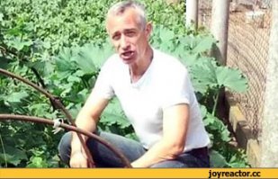 огурцы наверное у него брали, поэтому такая реакция у котов