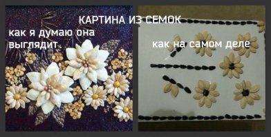 И мои творения из темы "ожидание и реальность" жизненное