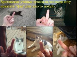 Честность людей зависит от страны проживания - ученые