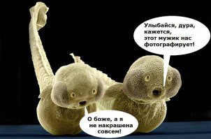 Их вид поражает и даже пугает. Микрочудища, живущие в морских глубинах