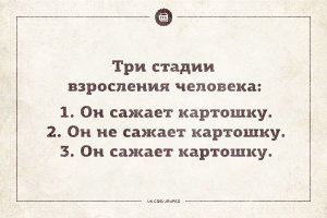 Простые истины, которые понимаешь только к 30-ти годам