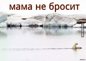 Прикольные картинки с надписями