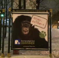 Прикольные картинки с надписями