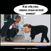 В одной из тюрем США заключенным разрешили брать на воспитание бездомных собак