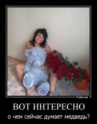 Мишка сосредоточен на лапе, он медленно двигает левую лапу к цели... Ссыкотно но надо... Цветы-то подарил.