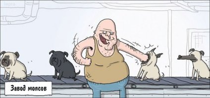 Ожидание и реальность
