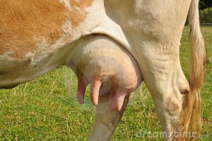 Мне лично непонятен смысл "чем больше, тем лучше".