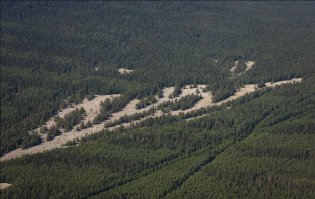 Летом тоже интересно смотрится. 
Все эти глыбы лежат в 3—4 слоя, т.е. от поверхности до грунта примерно 3—6 метров. Главное, чтобы нога меж камней не провалилась, а то будет как в «127 часов».