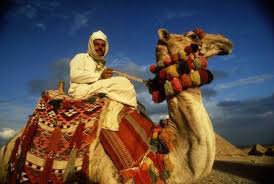 ничего не имею против,но по моему они должны на этом ездить