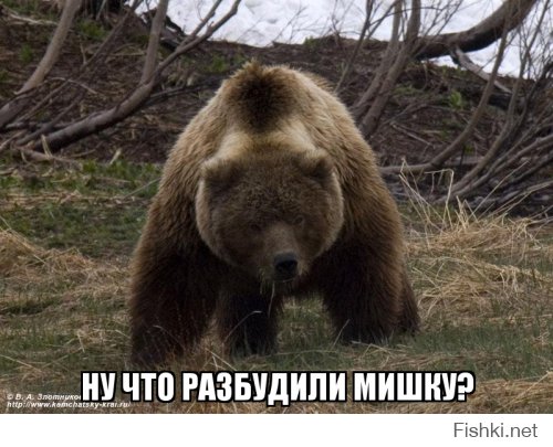 Эксперты НАТО: Ту-95 «Медведь» «учебно» разбомбил Европу! 