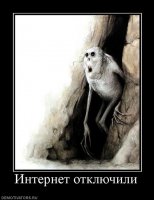 А что бы делали вы, если бы у вас не было интернета? 