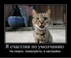 10 советов, как сделать счастливым вашего любимого кота