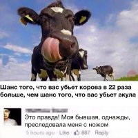 не удивил