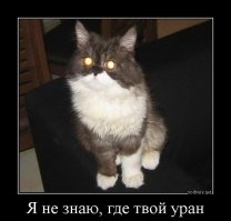 Как делают ядерное топливо