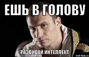 Интеллект ворон поразил ученых