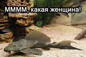 Фотоподборка за 18.11.2015