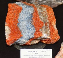 В это сложно поверить, но это так! 