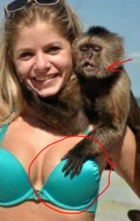 Обизянка был ОН!)))