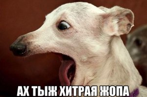 Минибар из канистры 