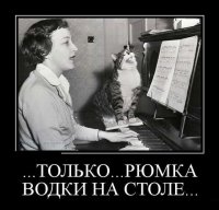 О пользе алкоголя