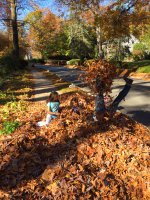 А под листьями заминировано  какухами
