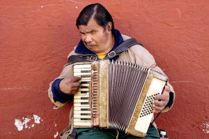 язычковый клавишно-пневматический музыкальный инструмент...