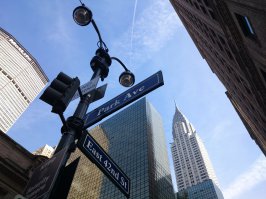 Вот как-то раз на телефон снял!