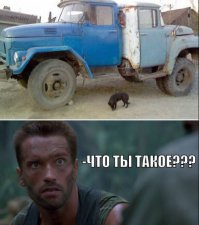 Больше на "собачью свадьбу" похоже.