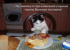 У котЭ всё как-то попроще ))))