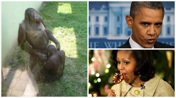 20 смешных случаев, когда поход в зоопарк не оправдал ожидания 