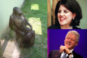 20 смешных случаев, когда поход в зоопарк не оправдал ожидания 