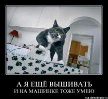 25 четвероногих помощников, которые выкладываются на полную
