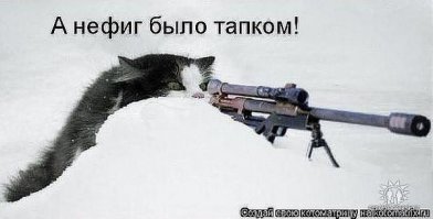 Демотиваторы с Котиками 4