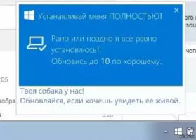 Винда беспощадна