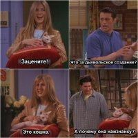 Актеры сериала "Друзья" за кадром: 10 душевных фото со съемок