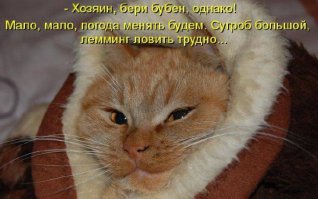 Картинки с надписями для поднятия настроения