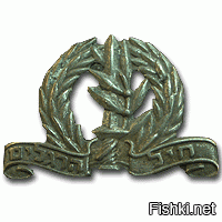 А вот лучшая в мире пехота :-)