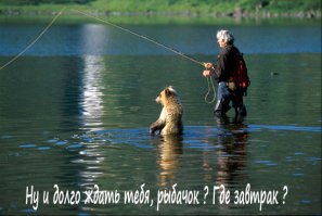 Работящий медведь — счастье в семье