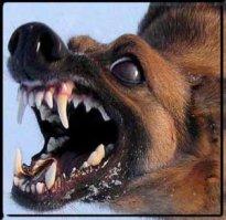 А ты такой - "Да нет проблем, за пару тыщ баксов заберу назад"